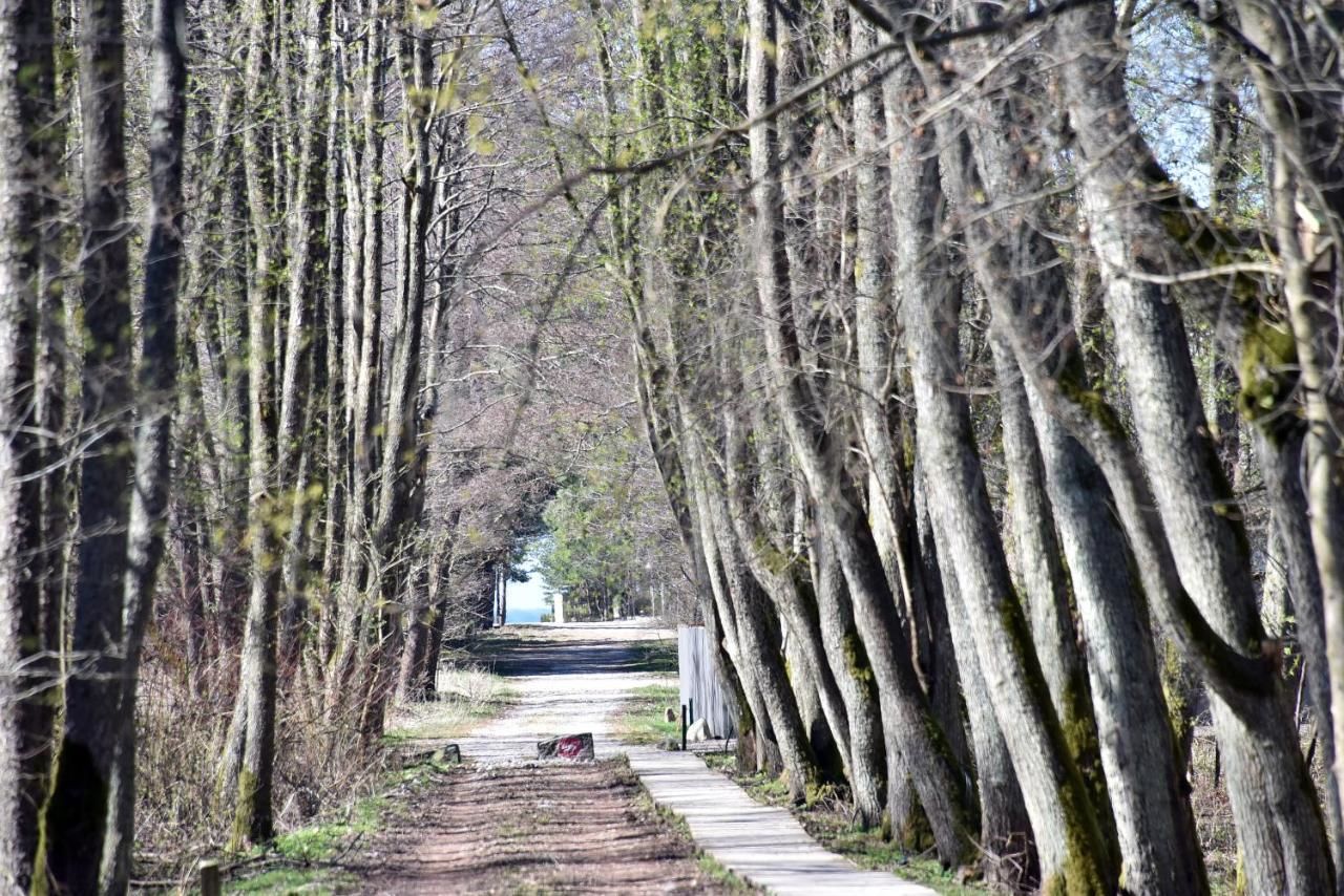 Дома для отпуска Žalia kopa near the beach apartments Паланга-23