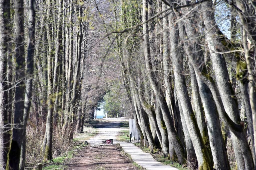 Дома для отпуска Žalia kopa near the beach apartments Паланга-24